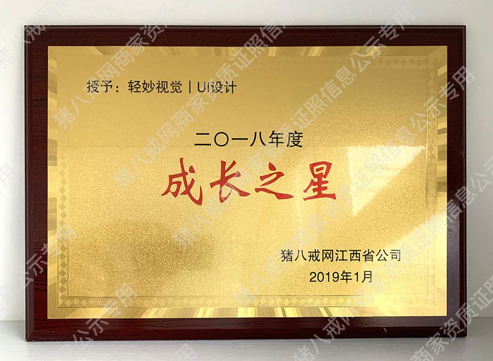 2018年度成長(zhǎng)之星