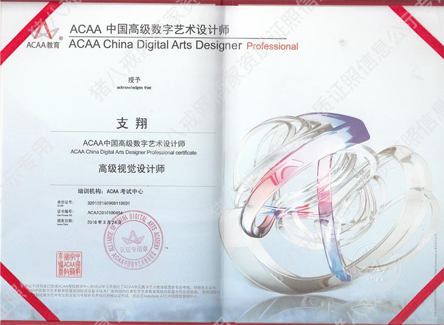 中央美院ACAA高级视觉设计师
