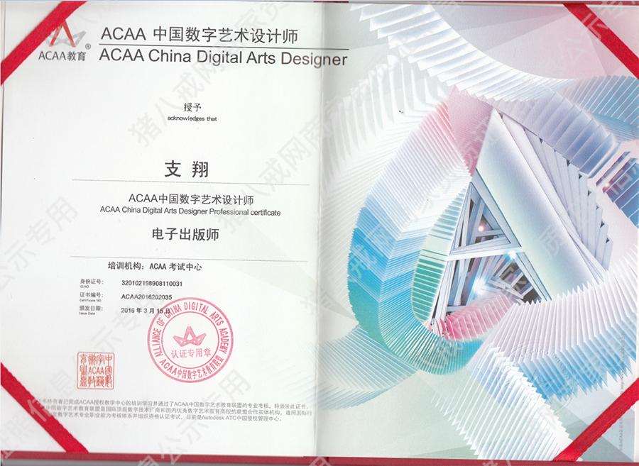 中央美院ACAA高级证书