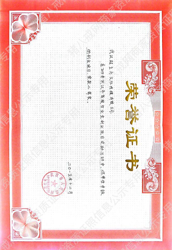 武汉高创大赛二等奖