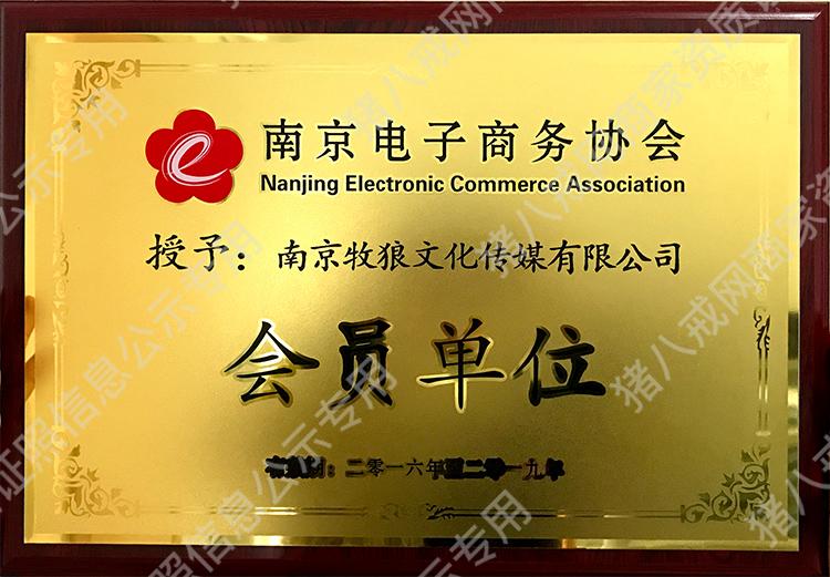 南京電子商務(wù)協(xié)會會員單位