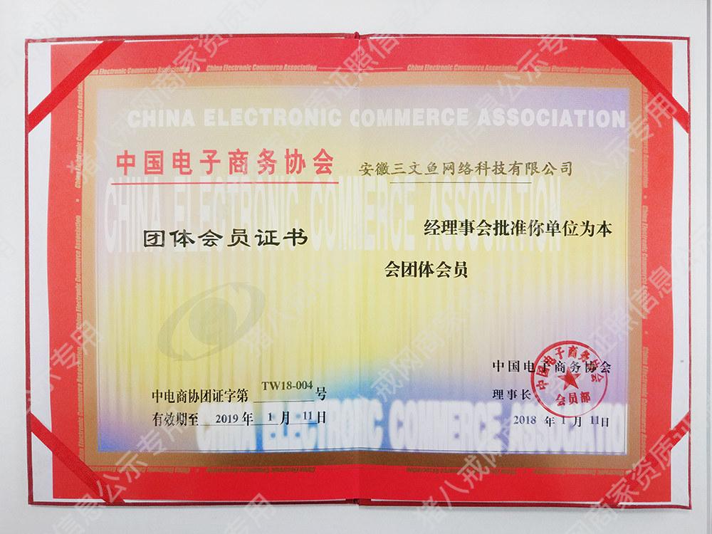 中国电子商务协会会员单位