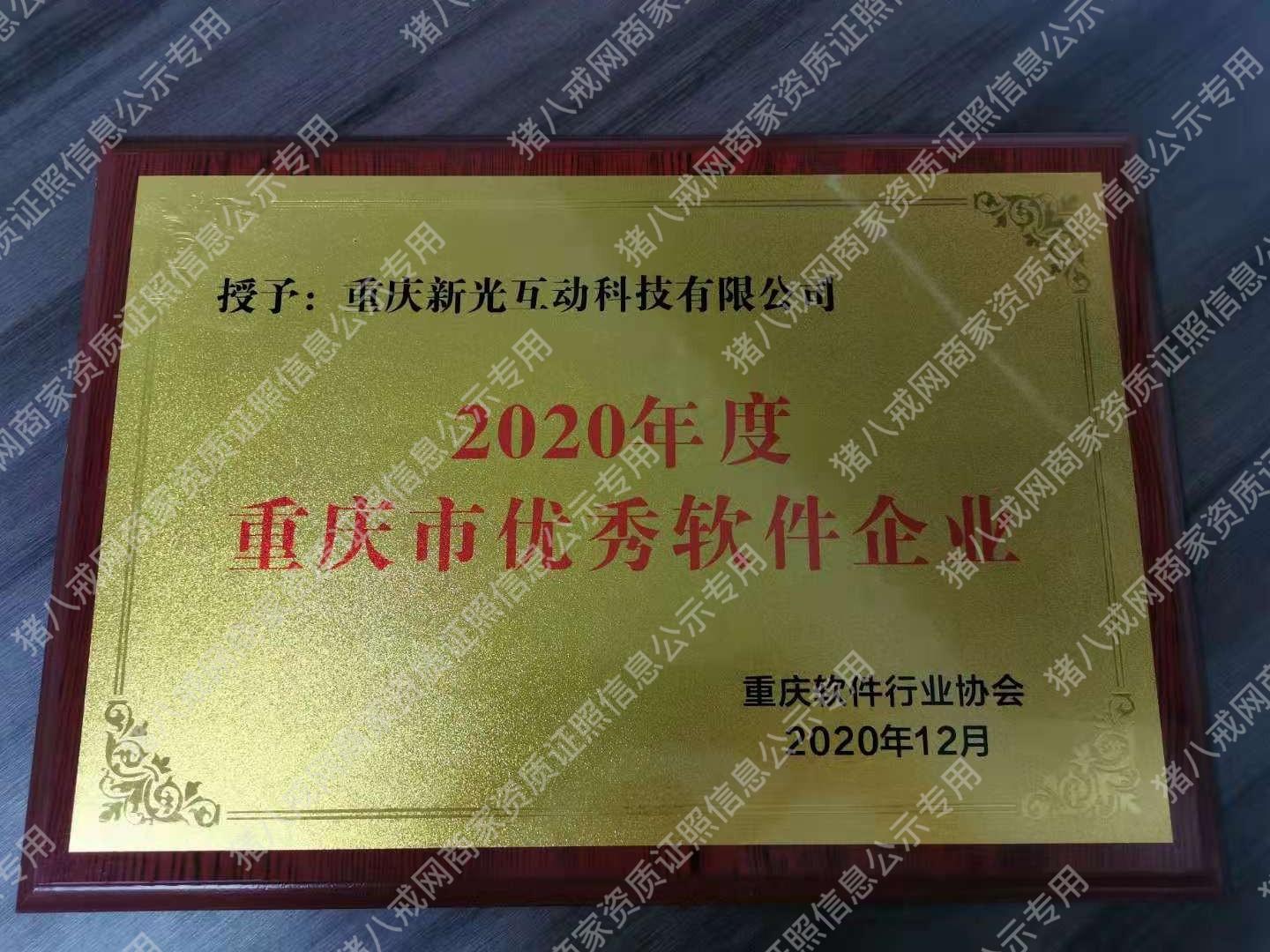 優(yōu)秀軟件企業(yè)