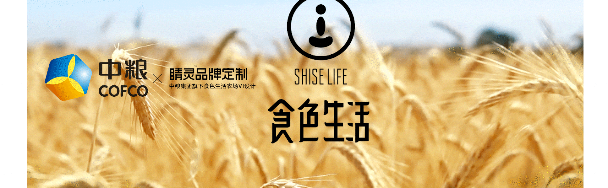 睛靈品牌定制丨創(chuàng)始于2009