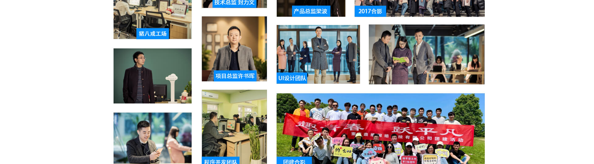 鼎维云掌门软件