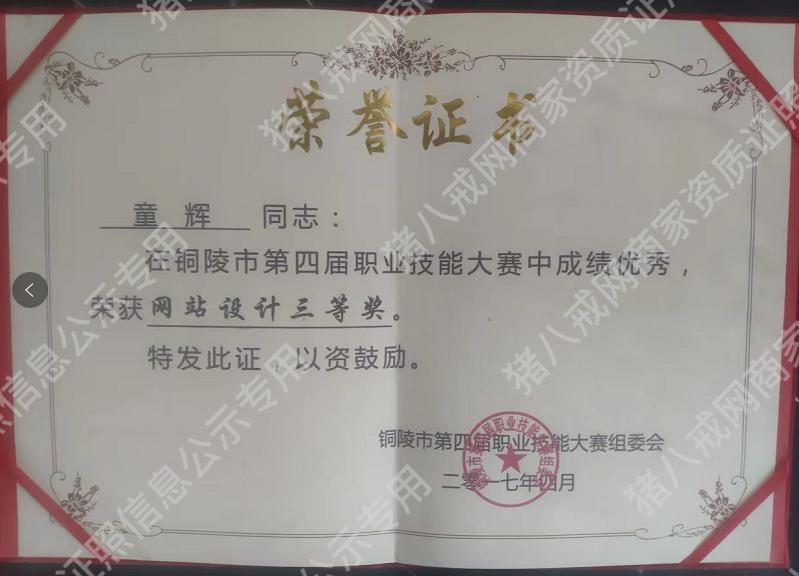 網(wǎng)站設(shè)計(jì)三等獎(jiǎng)