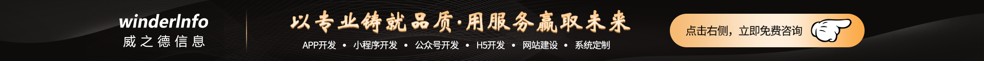 威之德信息-20年实体百人团队