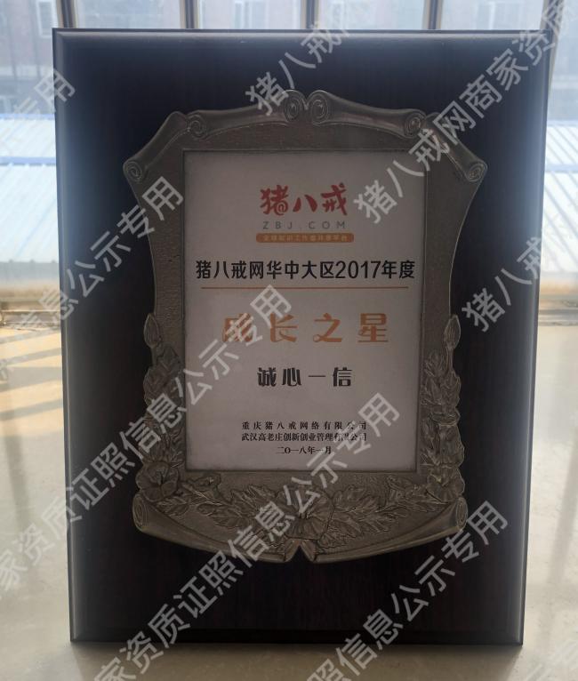 豬八戒網(wǎng)華中大區(qū)2017年度成長之星