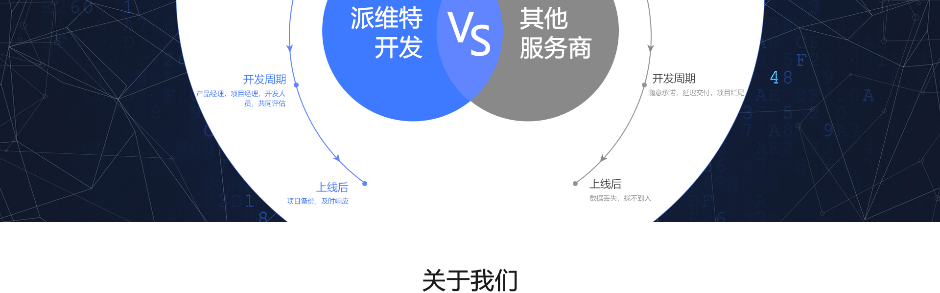 派维特定制开发