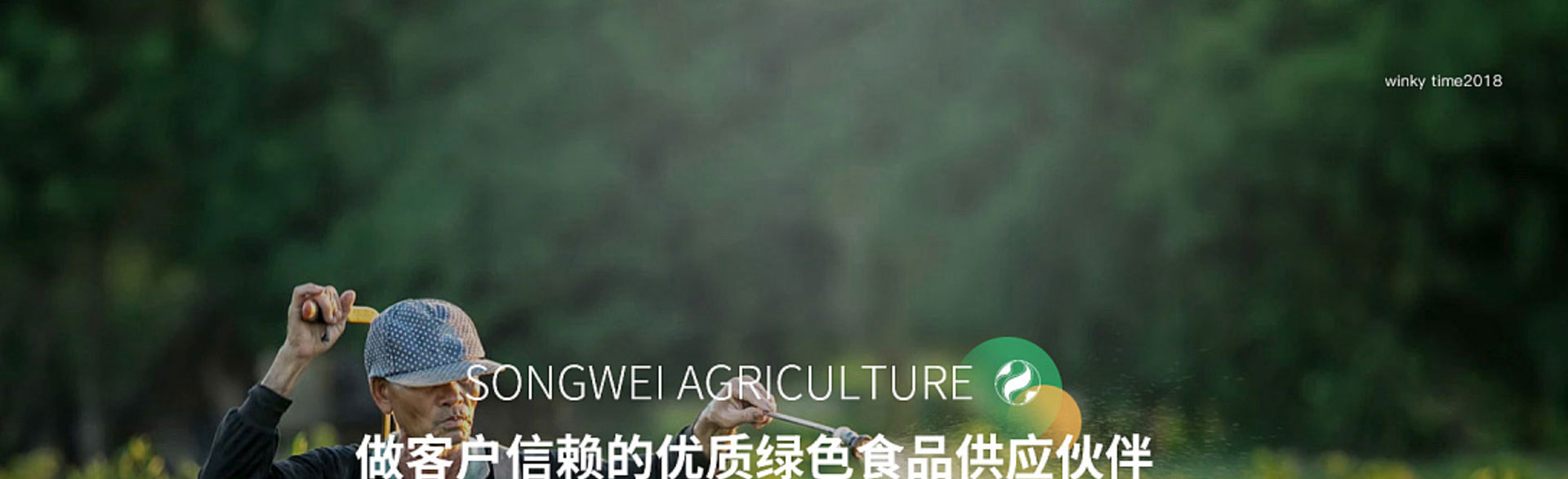 光榮網(wǎng)絡(luò)光榮文創(chuàng)