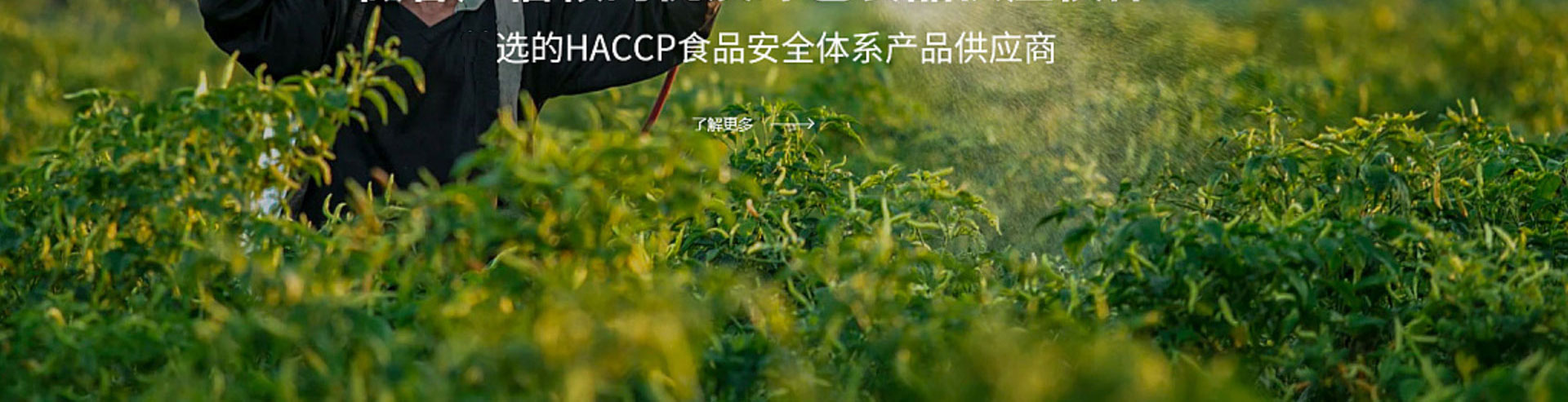 光榮網(wǎng)絡(luò)光榮文創(chuàng)