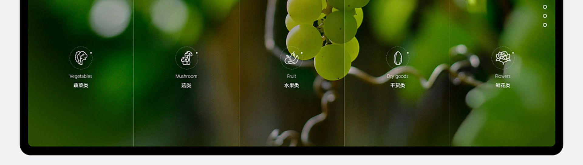 光榮網(wǎng)絡(luò)光榮文創(chuàng)