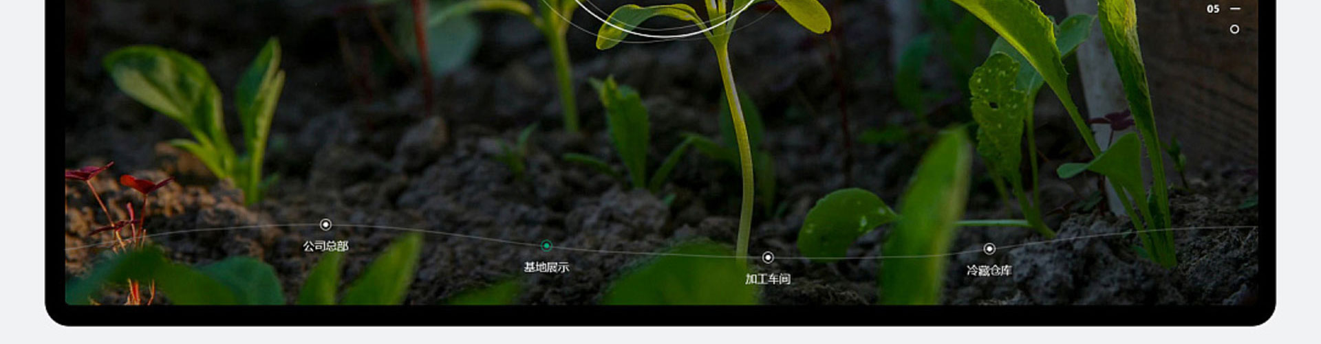光榮網(wǎng)絡(luò)光榮文創(chuàng)
