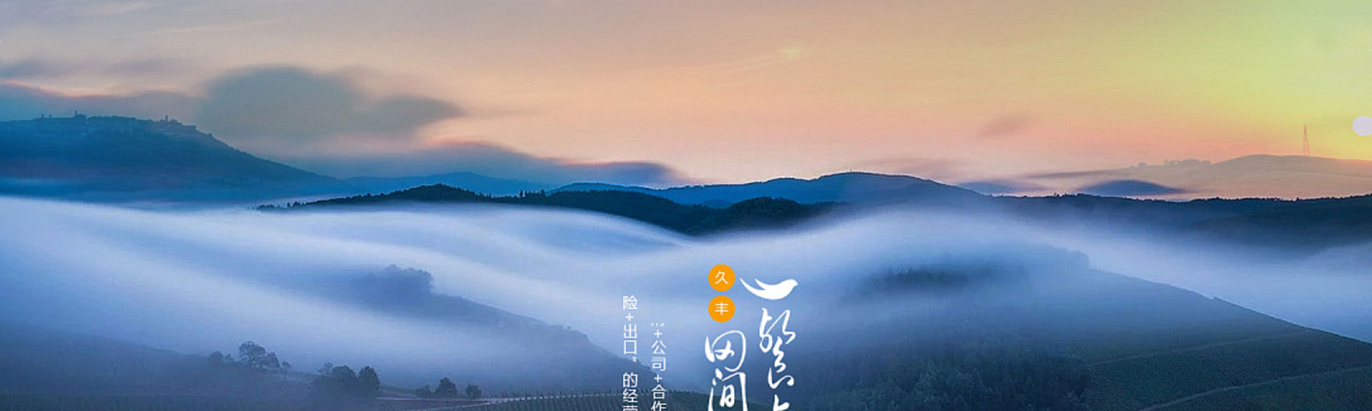 光榮網(wǎng)絡(luò)光榮文創(chuàng)