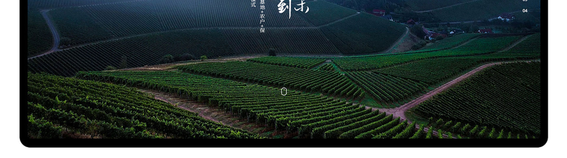 光榮網(wǎng)絡(luò)光榮文創(chuàng)