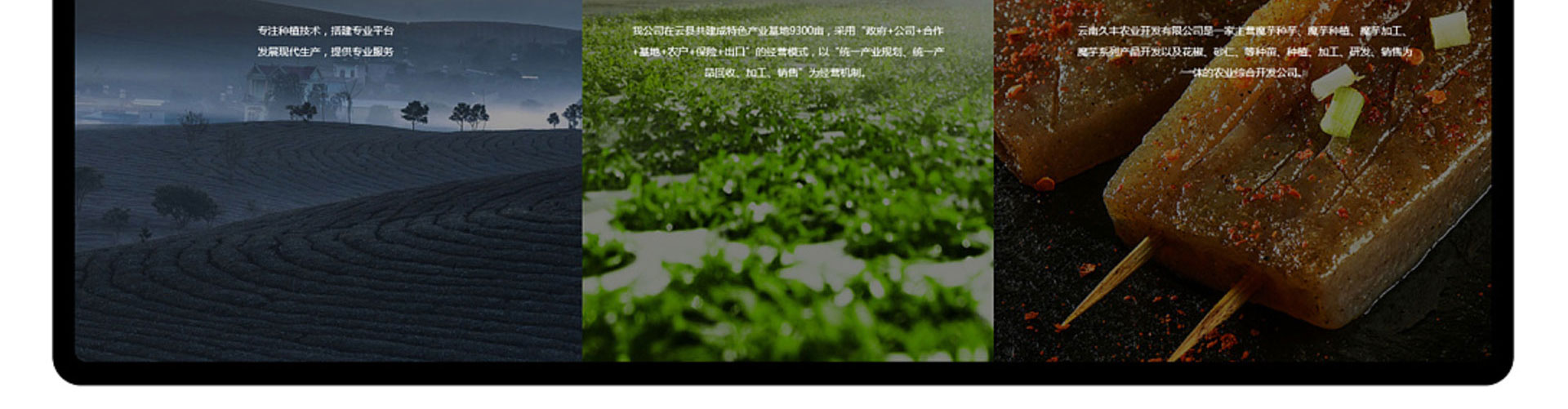 光榮網(wǎng)絡(luò)光榮文創(chuàng)