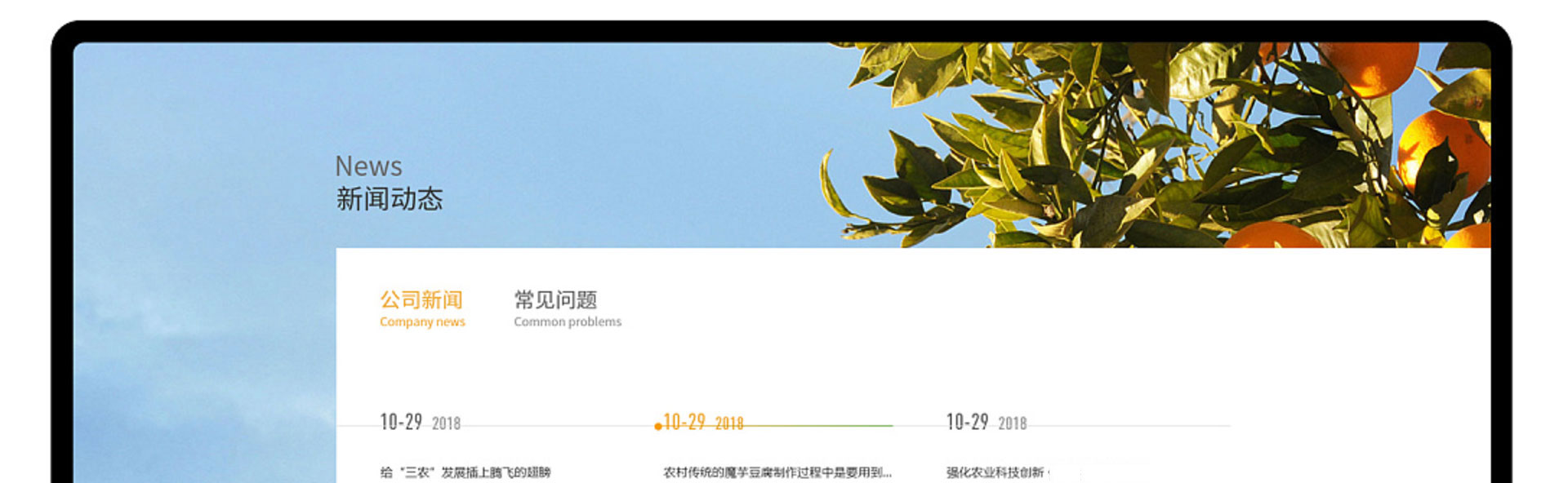 光榮網(wǎng)絡(luò)光榮文創(chuàng)