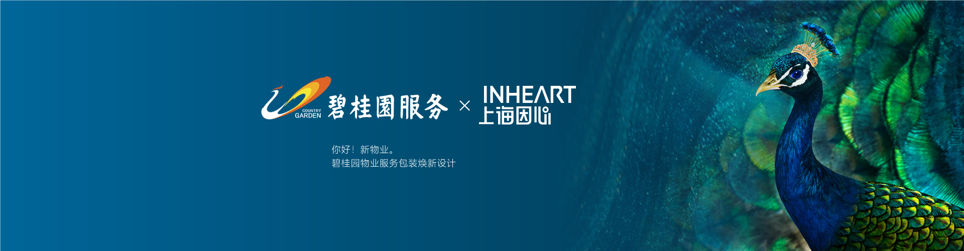 因心inheart-上海因心企業(yè)形象策劃有限公司