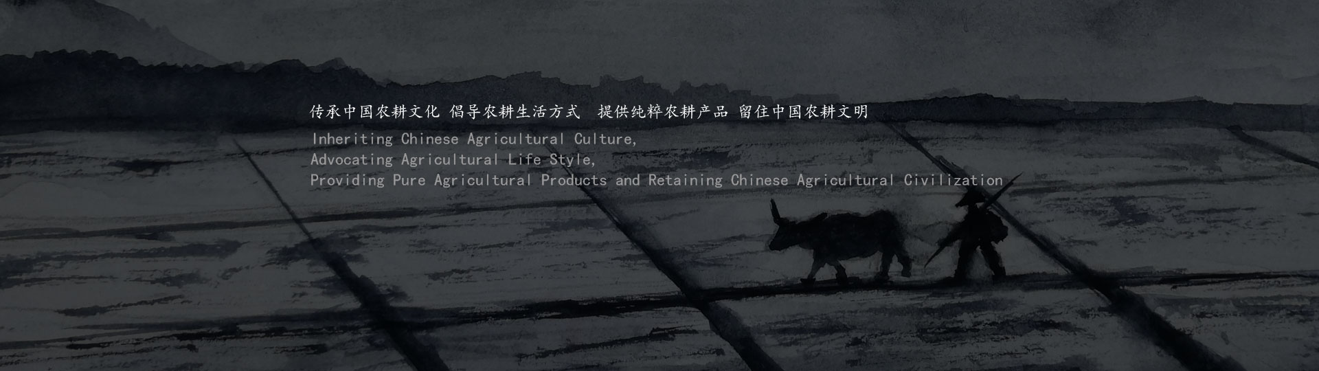 光榮網(wǎng)絡(luò)光榮文創(chuàng)