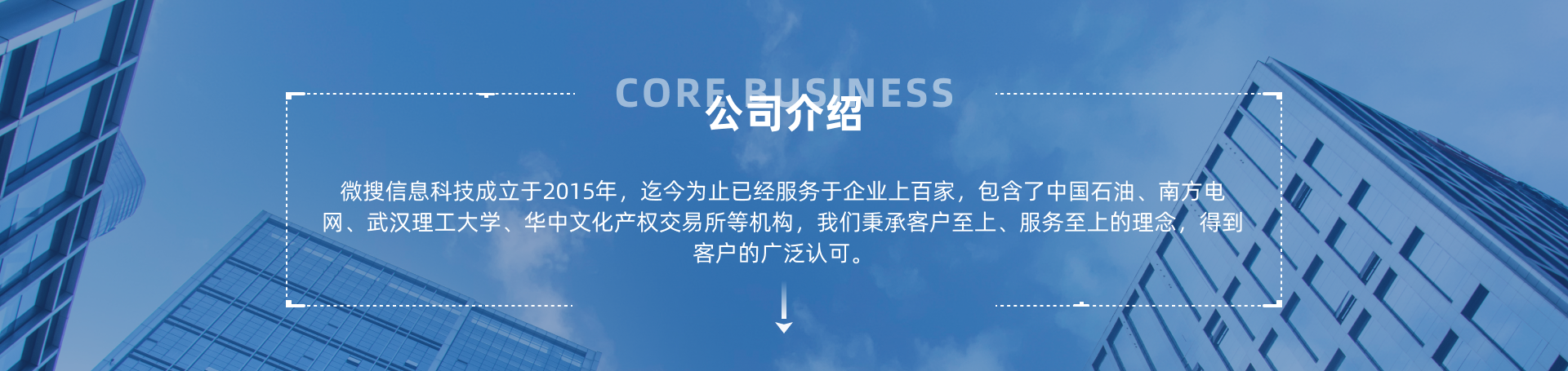 微搜信息科技-场景化应用服务商