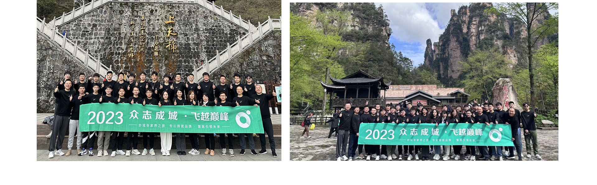 慧族网络19年实体百人开发团队