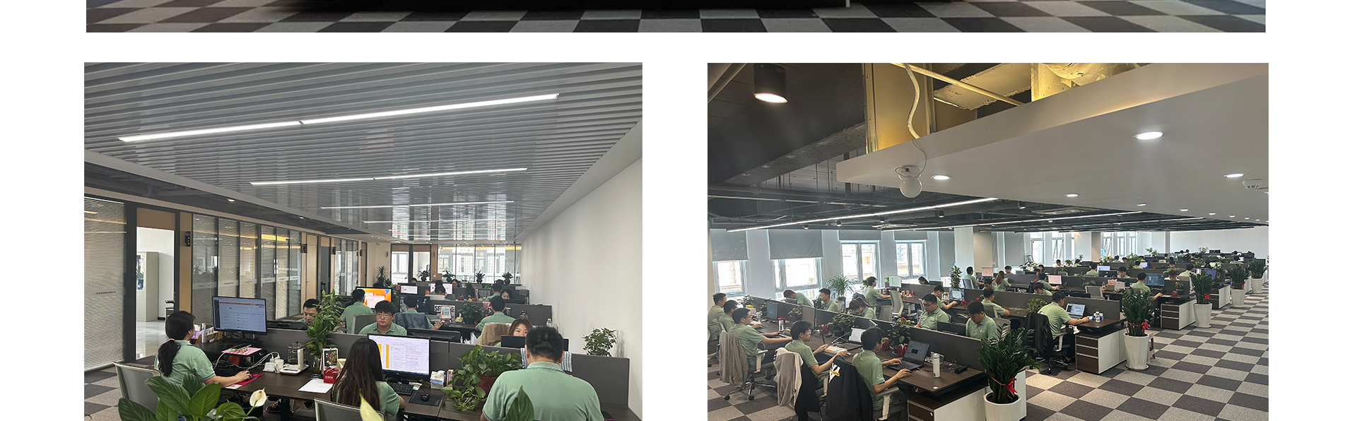 慧族网络19年实体百人开发团队