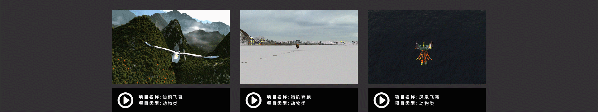 梵尚視覺(jué)