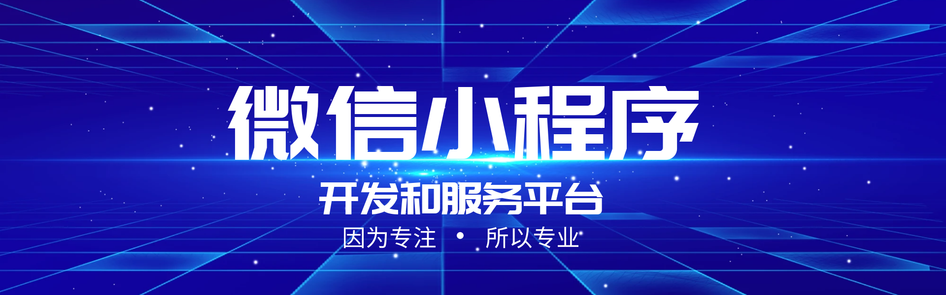 微搜信息科技-场景化应用服务商