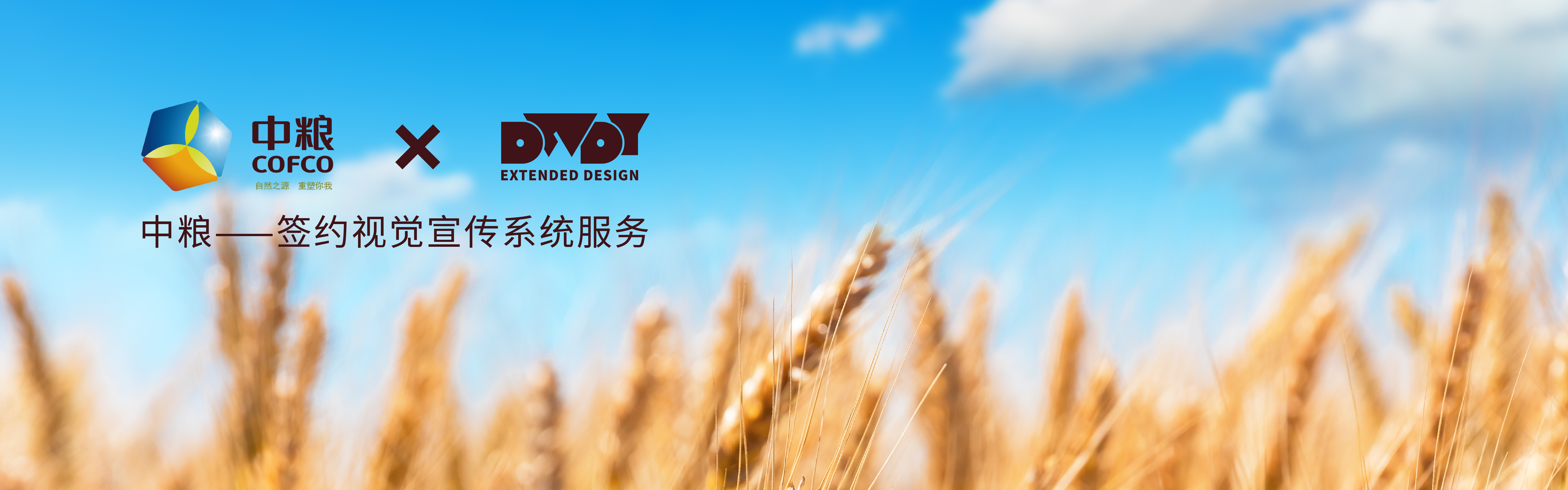 大豌豆芽设计公司