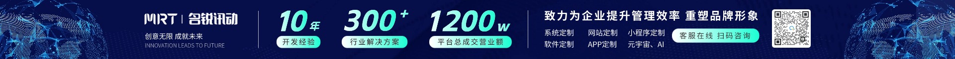 名銳訊動-廣州本地專業(yè)定制開發(fā)