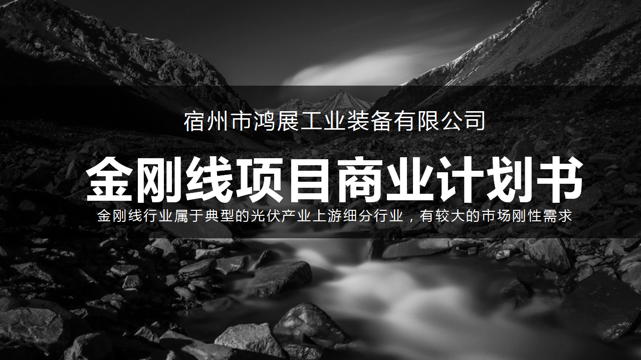 商业计划书案例项目策划书企划方案行业ppt融