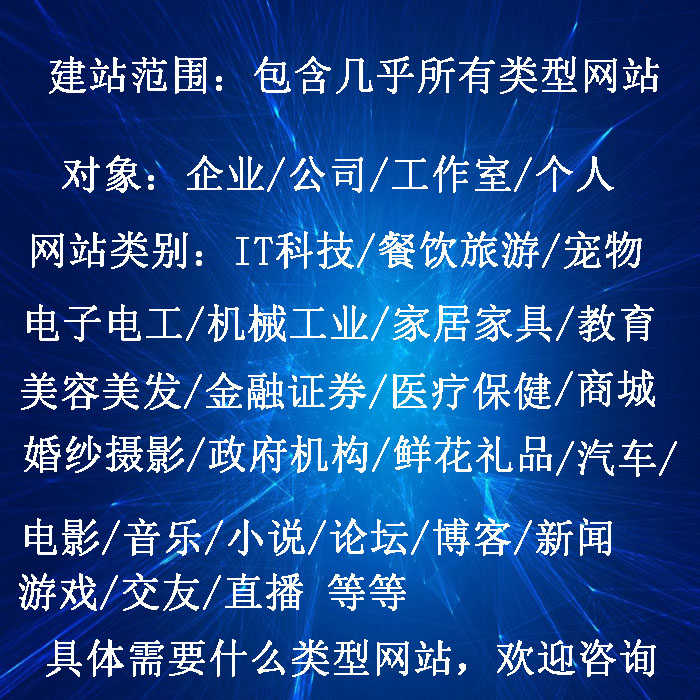 維尼科技網(wǎng)站建設(shè)