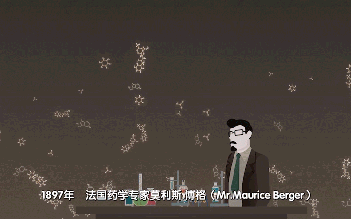 八部影視I視頻及動(dòng)畫制作