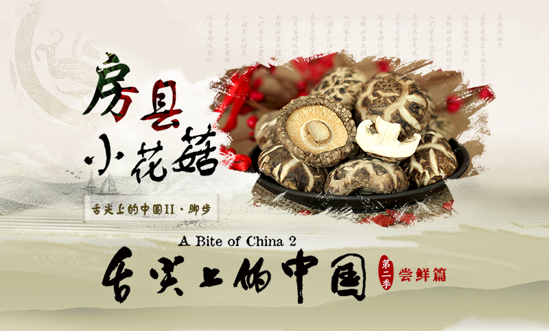 舌尖上的中國2—房縣小花菇頁面設(shè)計(jì)