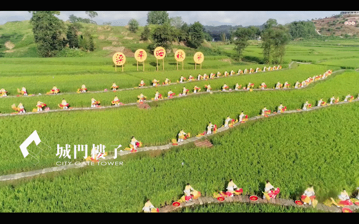 城門樓子文化傳媒