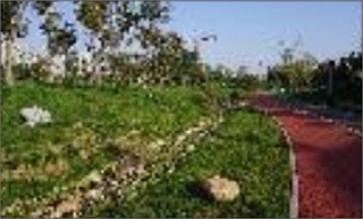鶴壁市桃園公園