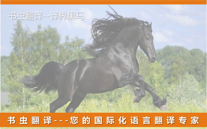 深圳市書蟲翻譯有限公司