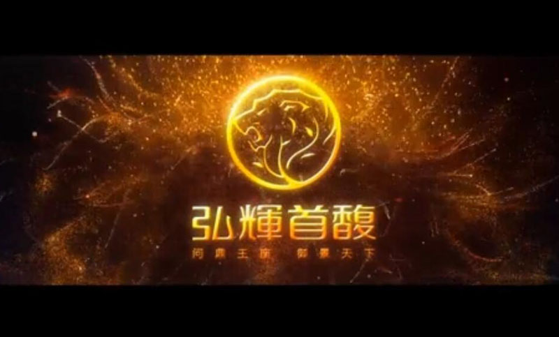 视频剪辑制作特效年会视频修改加字幕水印广告企业宣传片片头制作