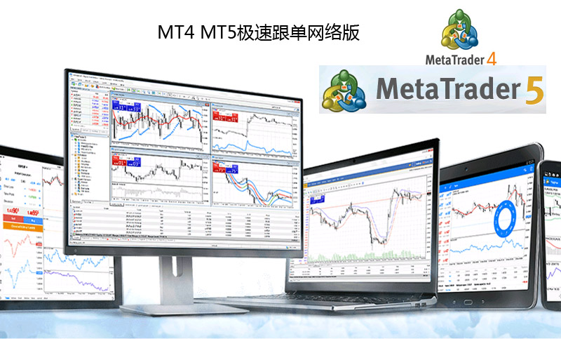 MT4 MT5**、黄金、**网络跟单软件开发