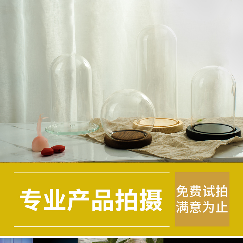 蕓泊螞蟻產(chǎn)品拍攝