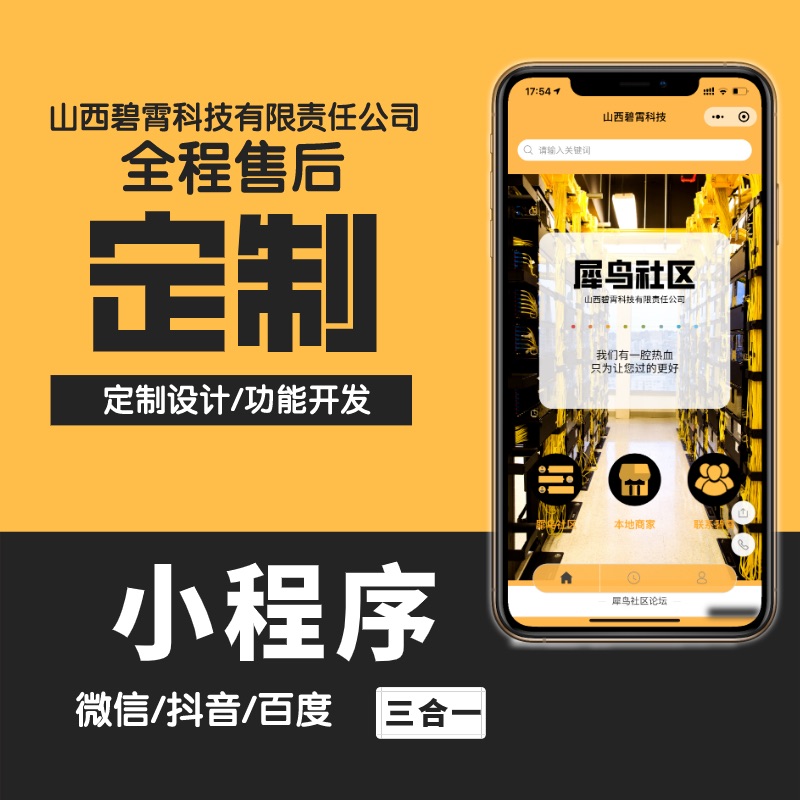 山西碧霄科技