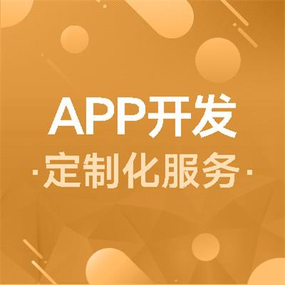 APP开发定制化服务