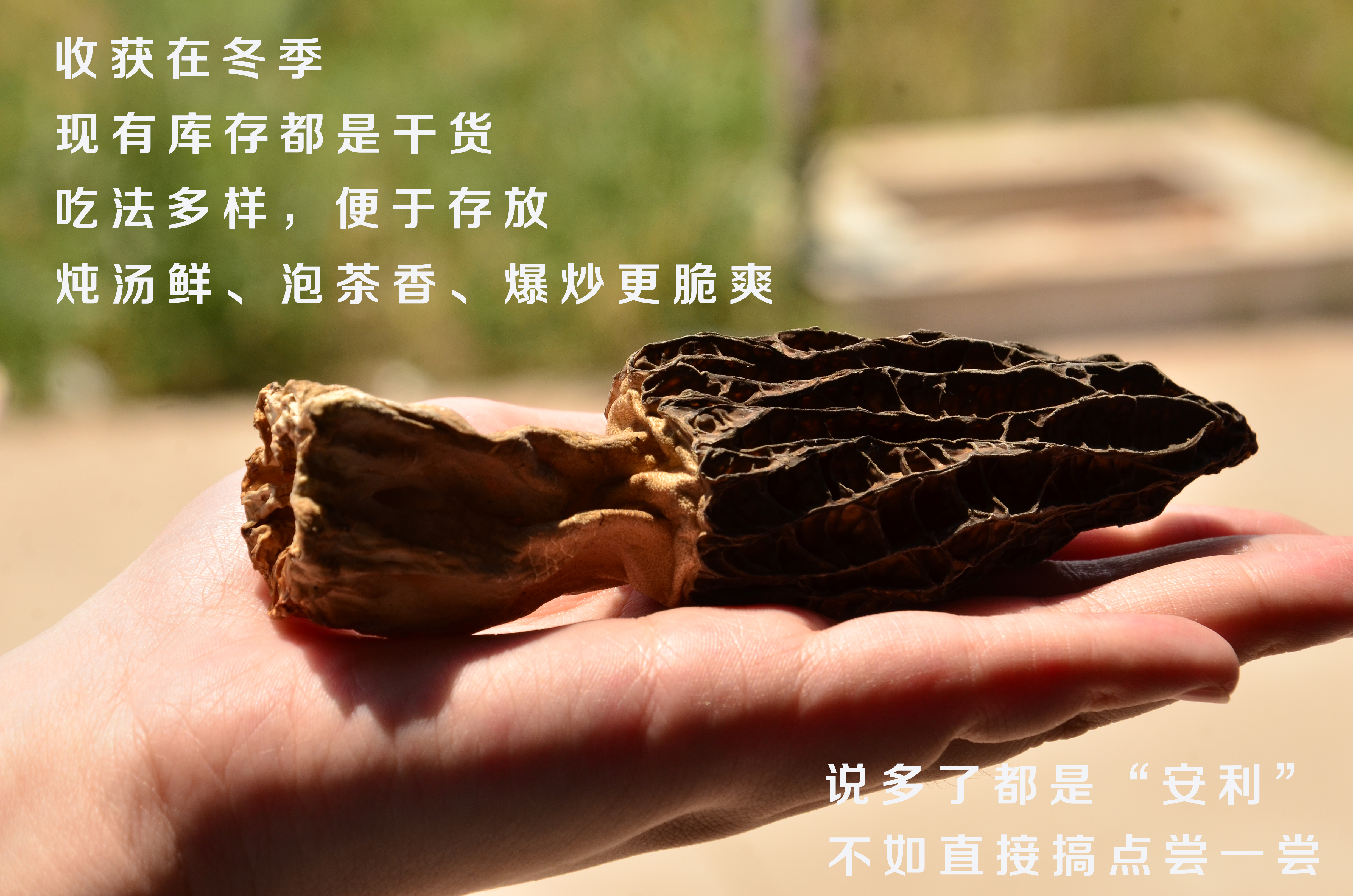 品牌創(chuàng)意文案、創(chuàng)意設(shè)計，新媒體運營策劃
