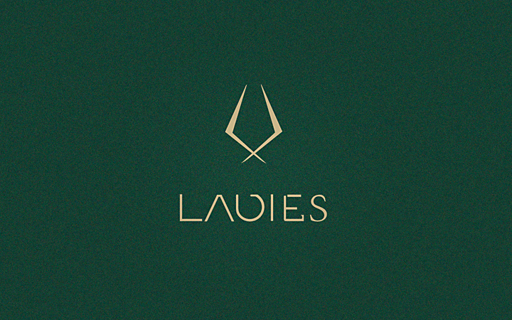 佰仕道亨品牌logo设计原创品牌企业公司连锁店铺商标VI设计