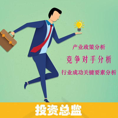【行業(yè)分析】**總監(jiān)：產(chǎn)業(yè)政策分析_行業(yè)成功關(guān)鍵要素分析