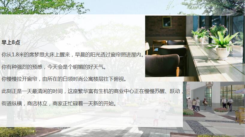 本意策划
