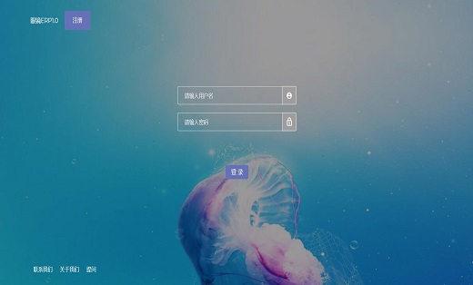 眼镜业ERP软件开发