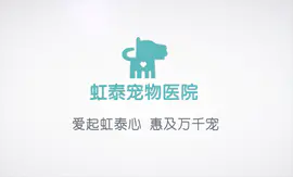 杭州虹泰宠物医院宣传片