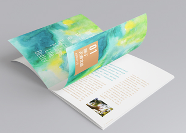 企业画册设计海报设计宣传册设计DM单页折页设计展架易拉宝设计