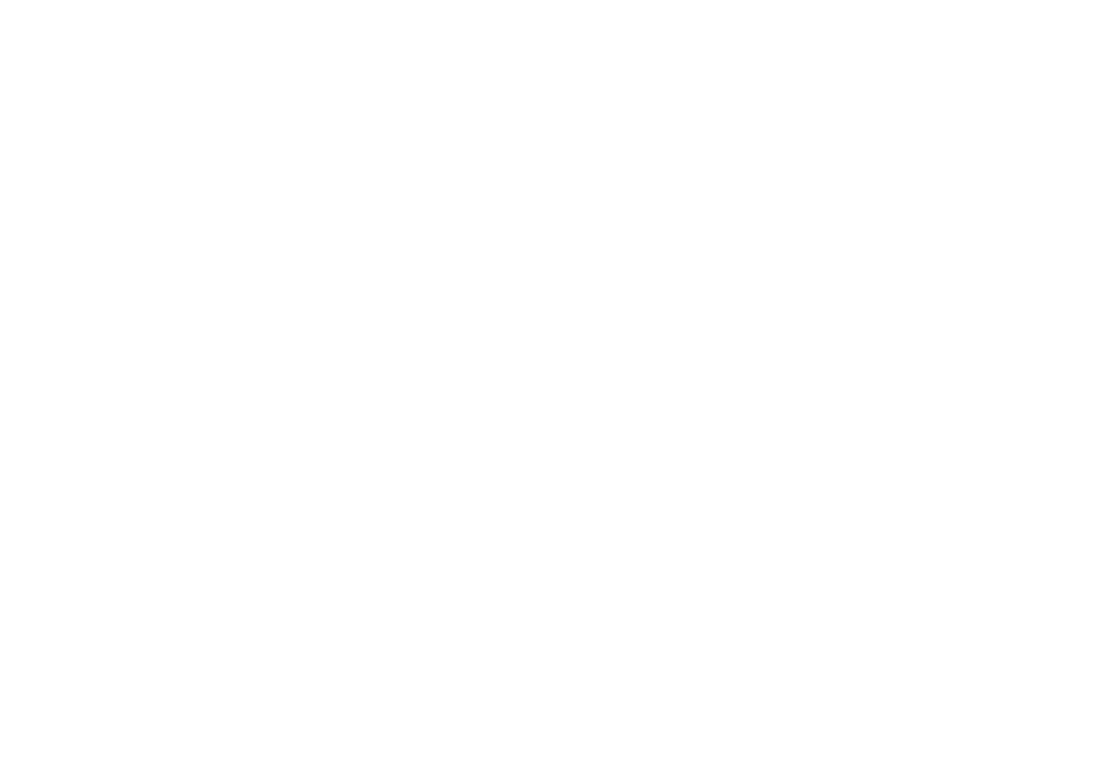 NV战队logo图片